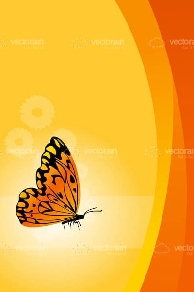 Vector floral background with butterfly